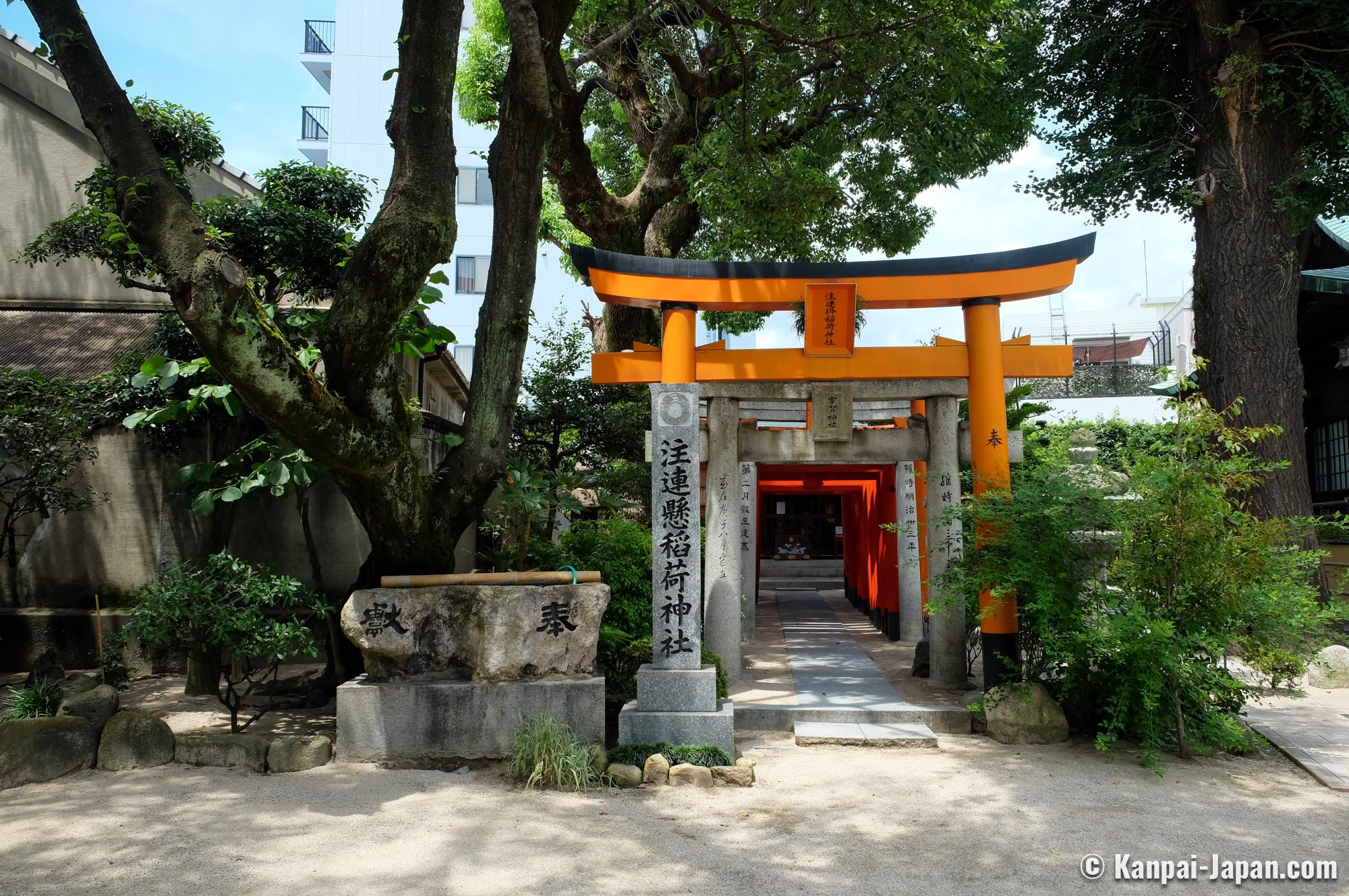 ⛩️ 쿠시다 신사 이미지 7